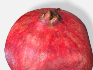 fruit pomegranate - photoscanned pbr 3D Model