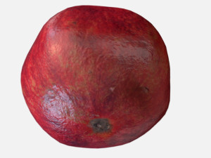 fruit pomegranate - photoscanned pbr 3D Model