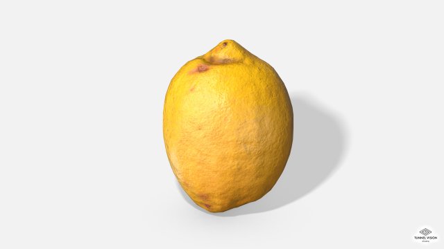 fruit lemon - photoscanned pbr 3D Model .c4d .max .obj .3ds .fbx .stl .blend 