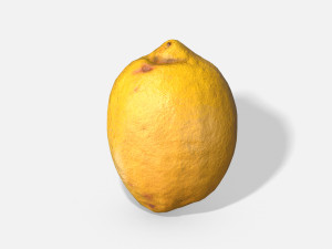 fruit lemon - photoscanned pbr 3D 모델