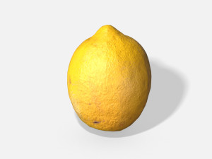 fruit lemon - photoscanned pbr 3D Model