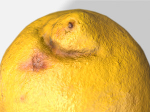fruit lemon - photoscanned pbr 3D Model