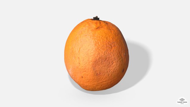 fruit orange - photoscanned pbr Modèle 3D .c4d .max .obj .3ds .fbx .stl .blend 