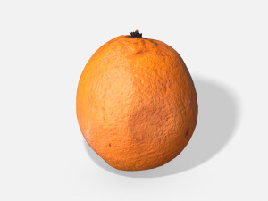 fruit orange - photoscanned pbr 3D Model