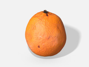 fruit orange - photoscanned pbr Modèle 3D