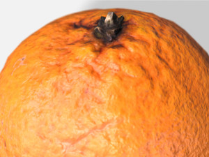 fruit orange - photoscanned pbr Modèle 3D