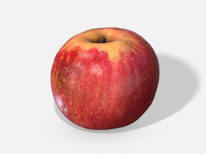 fruit apple - photoscanned pbr 3D 모델