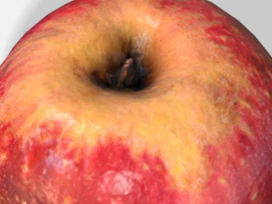 fruit apple - photoscanned pbr 3D Model
