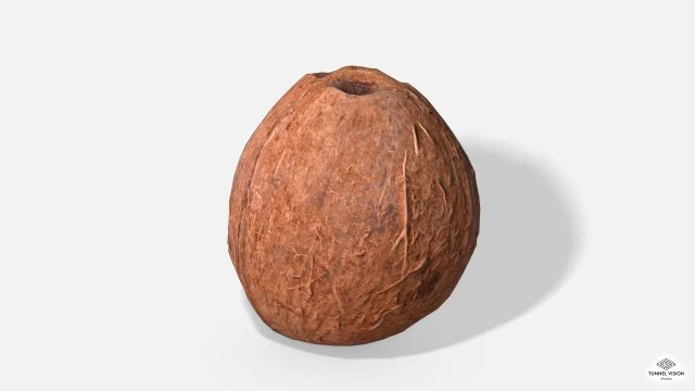 exotic fruit coconut - photoscanned pbr 3D Model .c4d .max .obj .3ds .fbx .stl .blend