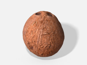 exotic fruit coconut - photoscanned pbr 3D Model