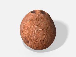 exotic fruit coconut - photoscanned pbr 3D Model