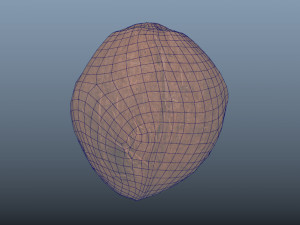 exotic fruit coconut - photoscanned pbr 3D Model