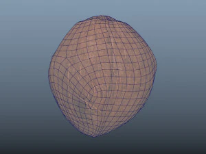 exotic fruit coconut - photoscanned pbr 3D Model