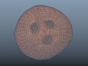 exotic fruit coconut - photoscanned pbr 3D Model
