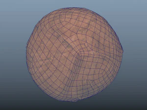 exotic fruit coconut - photoscanned pbr 3D Model