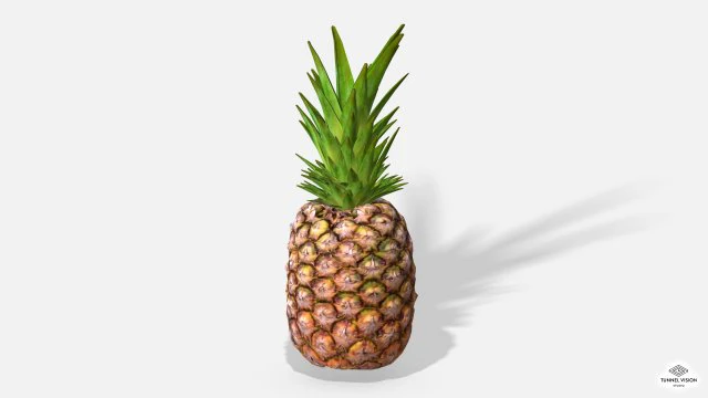 exotic fruit pineapple - photoscanned pbr 3D Model .c4d .max .obj .3ds .fbx .stl .blend 
