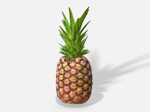 exotic fruit pineapple - photoscanned pbr 3D Model