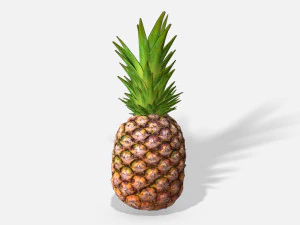 exotic fruit pineapple - photoscanned pbr 3D Model