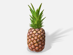 exotic fruit pineapple - photoscanned pbr Modelo 3D