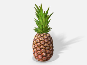 exotic fruit pineapple - photoscanned pbr Modelo 3D