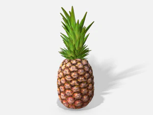 exotic fruit pineapple - photoscanned pbr 3D Model