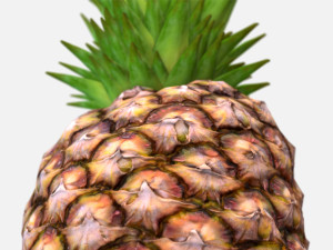 exotic fruit pineapple - photoscanned pbr Modelo 3D