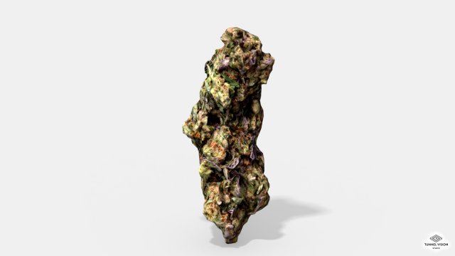 marijuana bud 3 - photoscanned pbr 3D Модель .c4d .max .obj .3ds .fbx .stl .blend 
