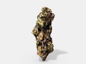 marijuana bud 3 - photoscanned pbr 3D 모델