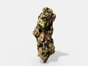 マリファナのつぼみ 3 - 写真スキャンした写真 3Dモデル