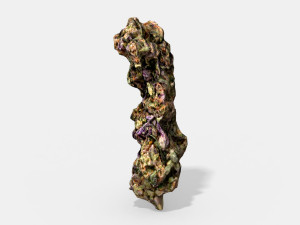 marijuana bud 3 - photoscanned pbr 3D Модель