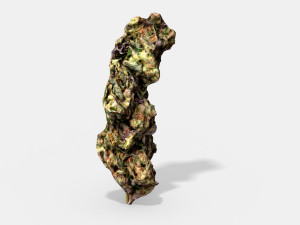 marijuana bud 3 - photoscanned pbr 3D Модель