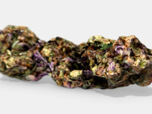 marijuana bud 3 - photoscanned pbr 3D Модель
