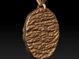 horoscope capricorn pendant Modèles 3D en vedette