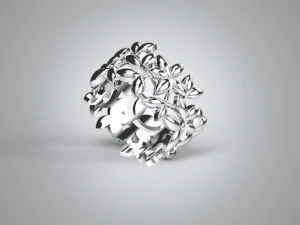 jewelry ring free 3D Print Model