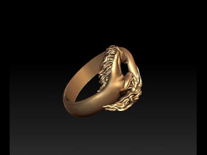 horse ring 3D Print Model