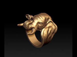 elephant ring Modelo de Impressão 3D