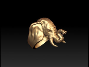 elephant ring Modelo de Impressão 3D