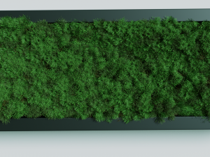 grass 3D मॉडल