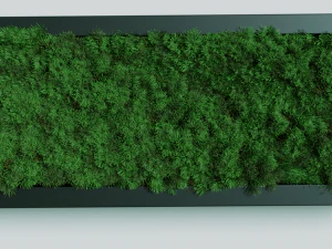 grass 3D Model