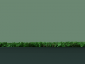 grass 3D मॉडल