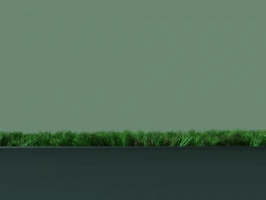 grass 3D Model