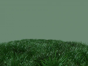 grass 3D Model
