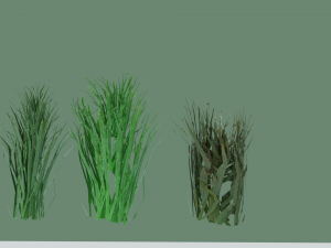 grass 3D मॉडल