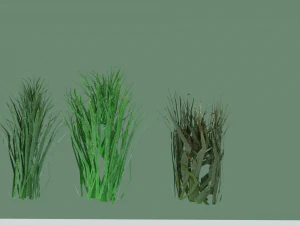 grass 3D Model
