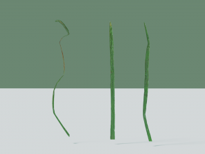 grass 3D मॉडल