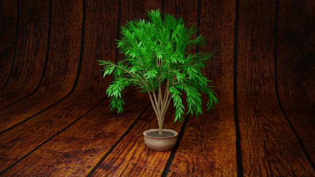 tree 3D Model .c4d .max .obj .3ds .fbx .stl .blend 