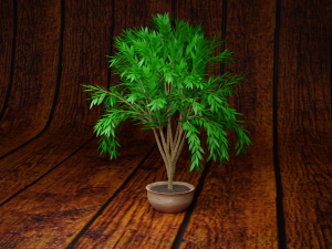 tree 3D 모델