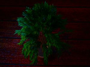 tree Modèle 3D