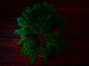 tree 3D Model