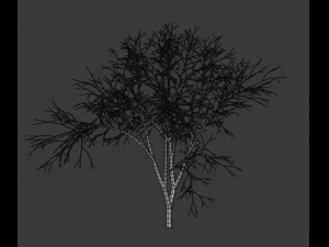 tree collection 3Dモデル